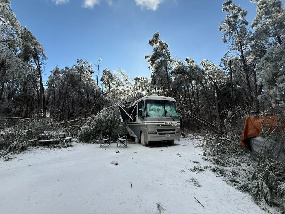 All Photos for Ross Family Tree Service LLC  in Hohenwald, TN