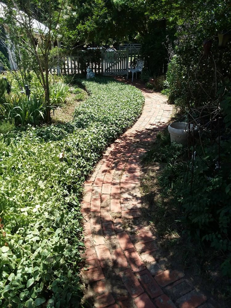 Enhance your landscape with our professional shrub trimming service, ensuring healthy growth and beautifully shaped greenery. experience precise care that boosts curb appeal and maintains the vitality of your garden's foliage. for Leon Landscaping & Tree Service in Palestine, TX