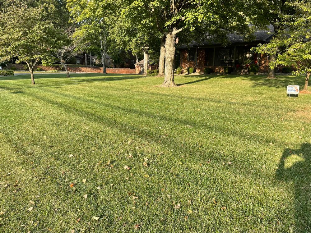 Lawn Care for Bailey’s Lawn Care & Dirt Service in Murray, KY