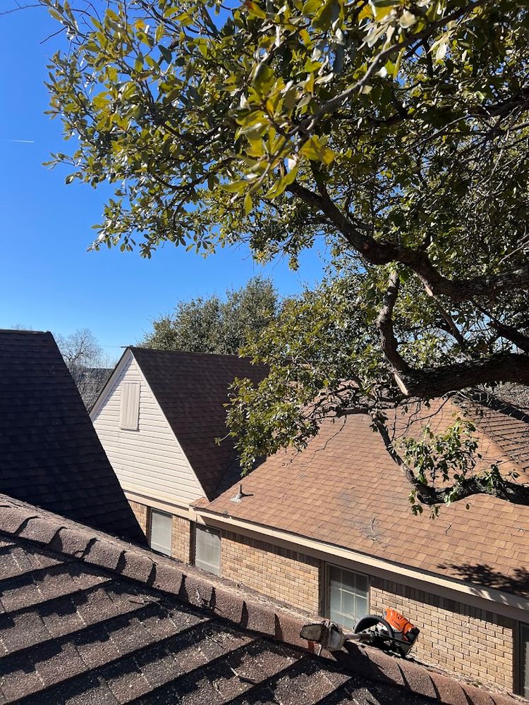 All Photos for Imber’s Tree Service LLC in Arlington, TX