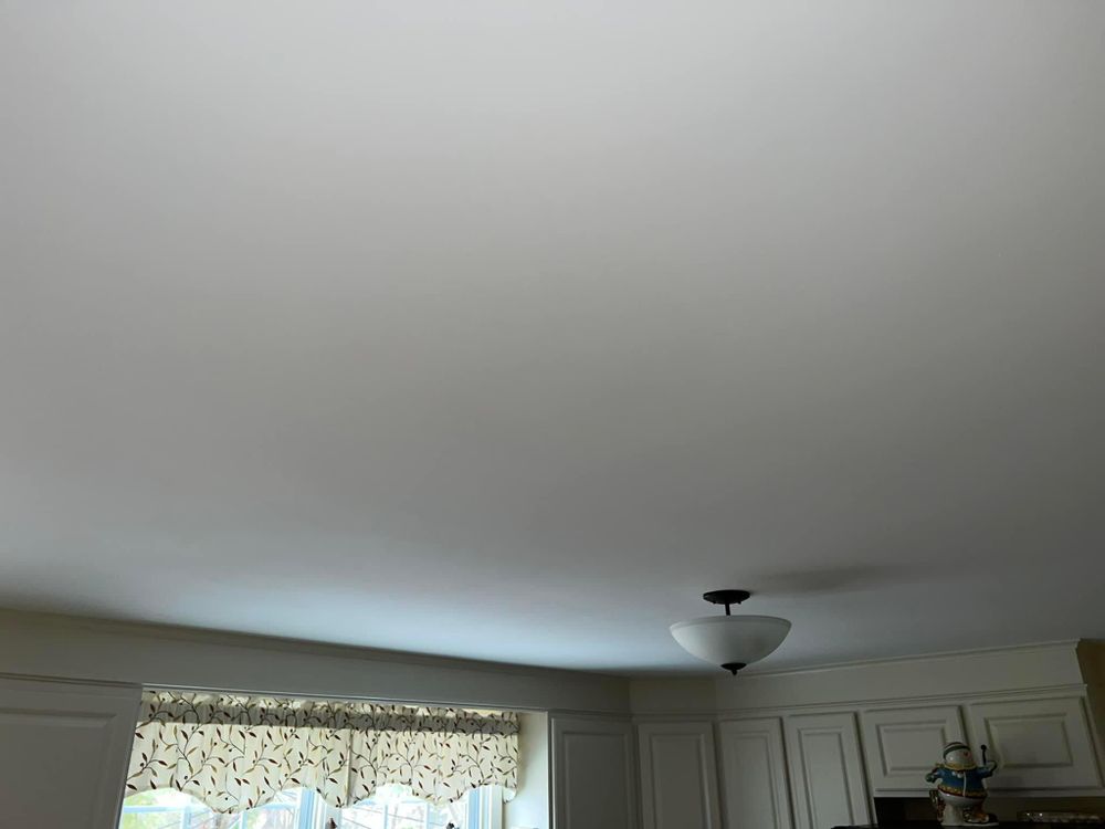 All Photos for Suter & Sons Painting in Amherst, Western Massachusetts