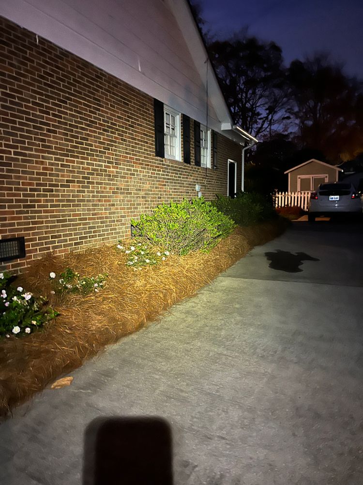 Pine Needle Installation for Dream Cuts Landscaping and Lawn Care LLC in Gastonia, NC