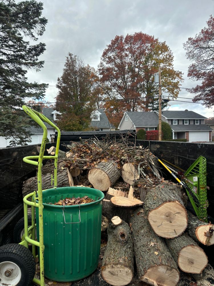 All Photos for T's Trees in Albany, NY