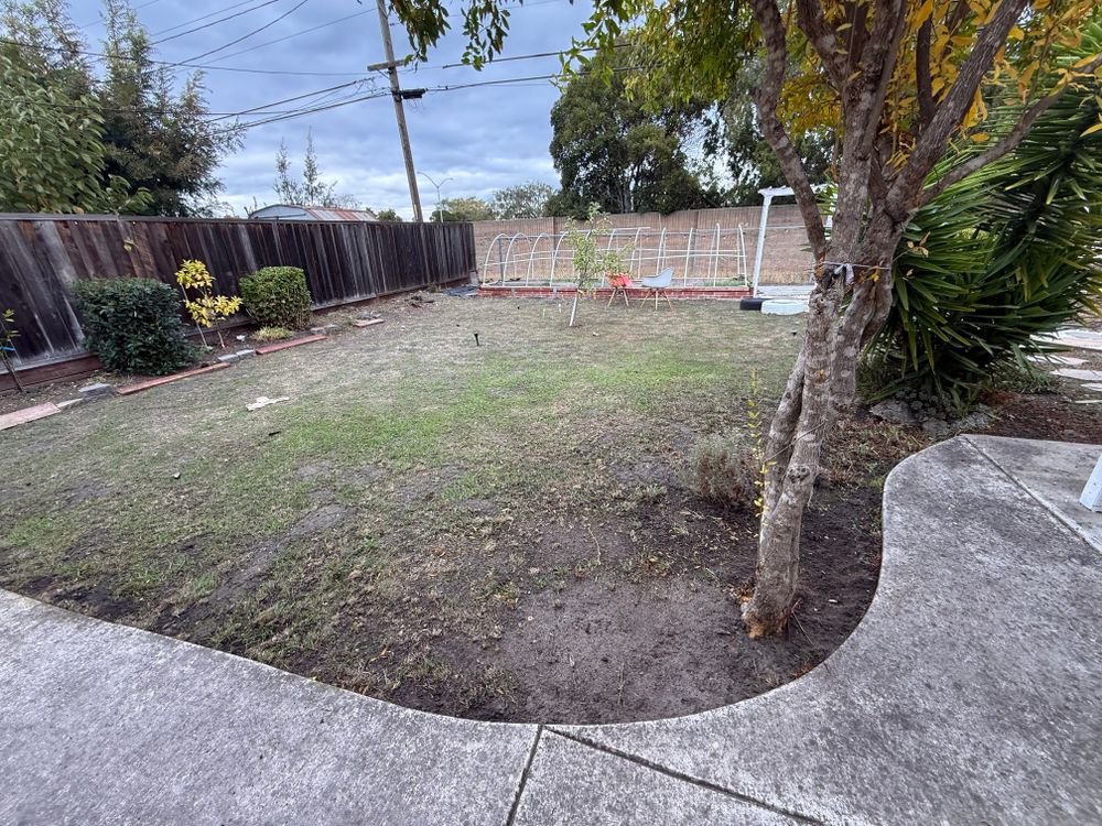 All Photos for CBA Landscaping in Hayward, CA