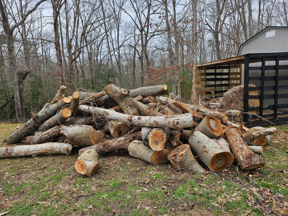 All Photos for Hired Gunz Services LLC in La Plata, MD