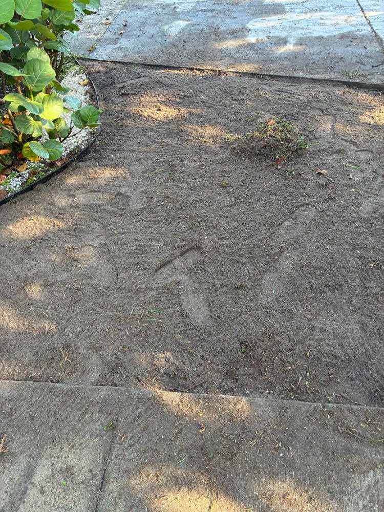 All Photos for Gulf Bay Sod in Clearwater, FL