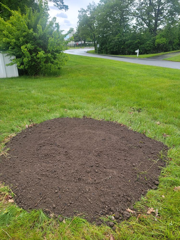 All Photos for Sweet Scapes in Ballston Spa, NY