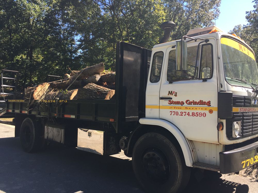 All Photos for M & J Tree Service & Stump Grinding in Auburn, GA
