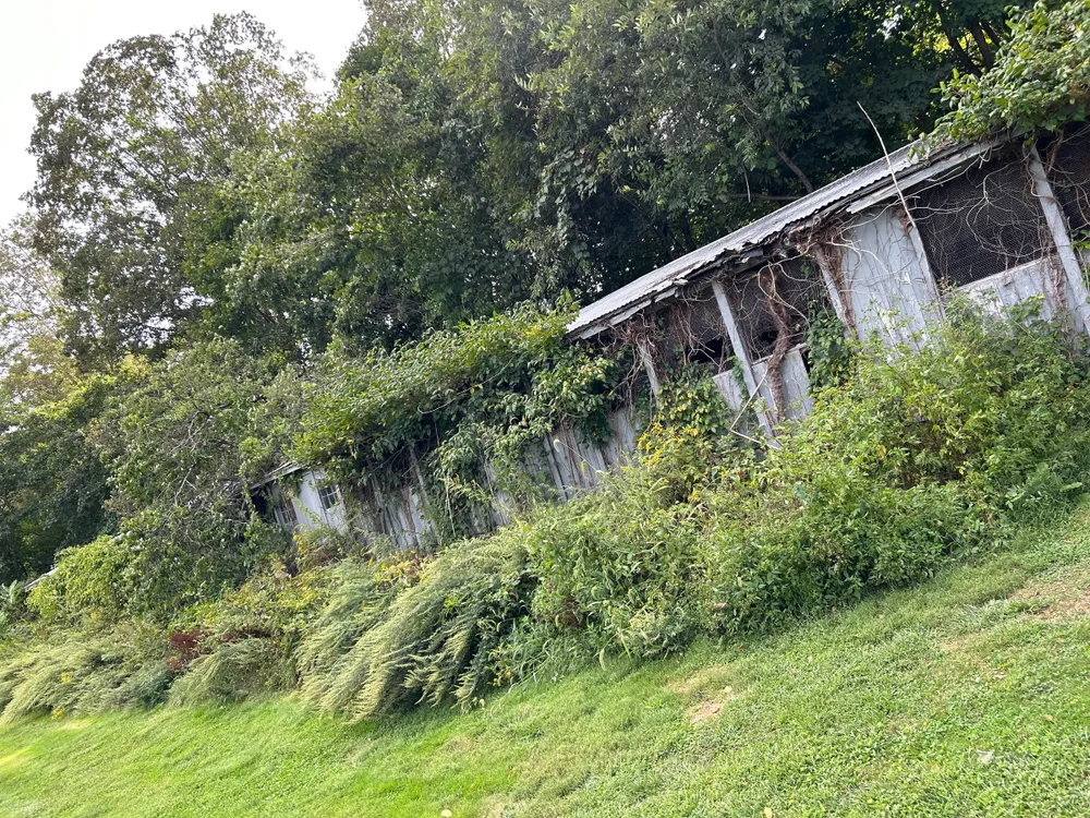 All Photos for Dibs Landscaping LLC in Cheshire, CT