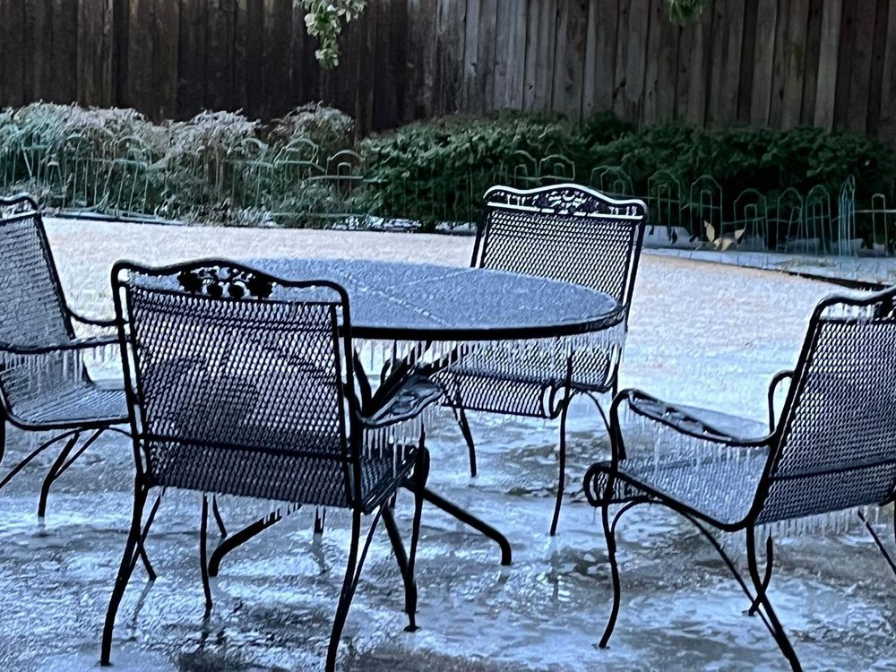 Company Cam for Dumbo's Doggy Doors in City of Sammamish, WA