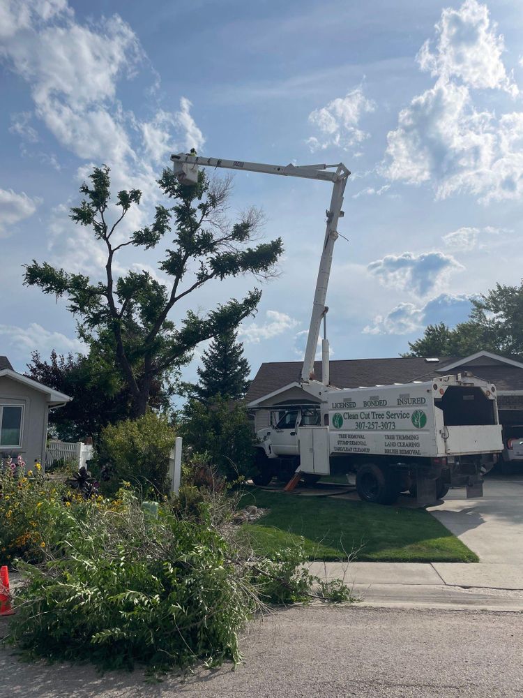 All Photos for Clean Cut Tree Service in Gillette, WY