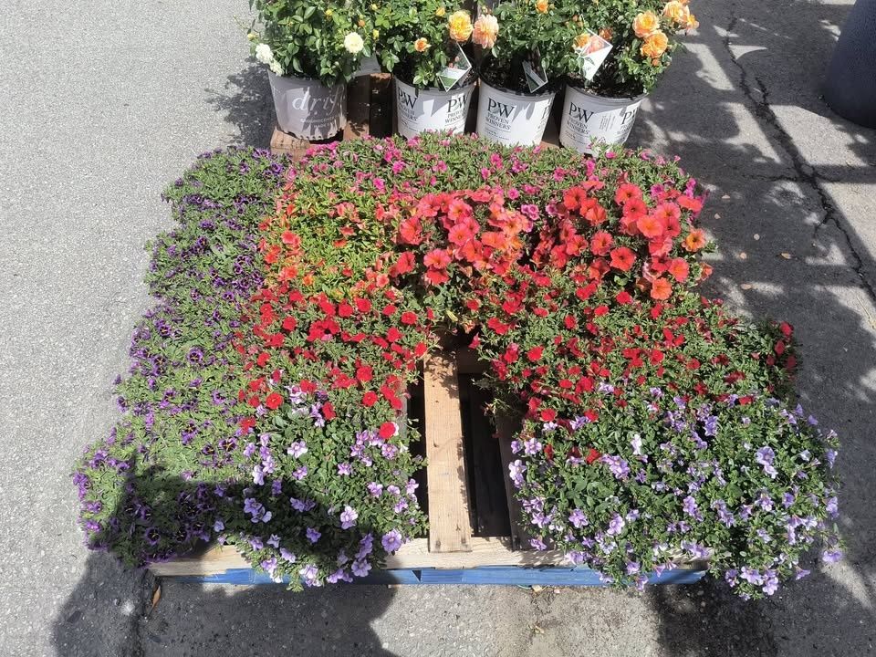 All Photos for Starnes Hardscapes & Property Management LLC in Dunlap, TN