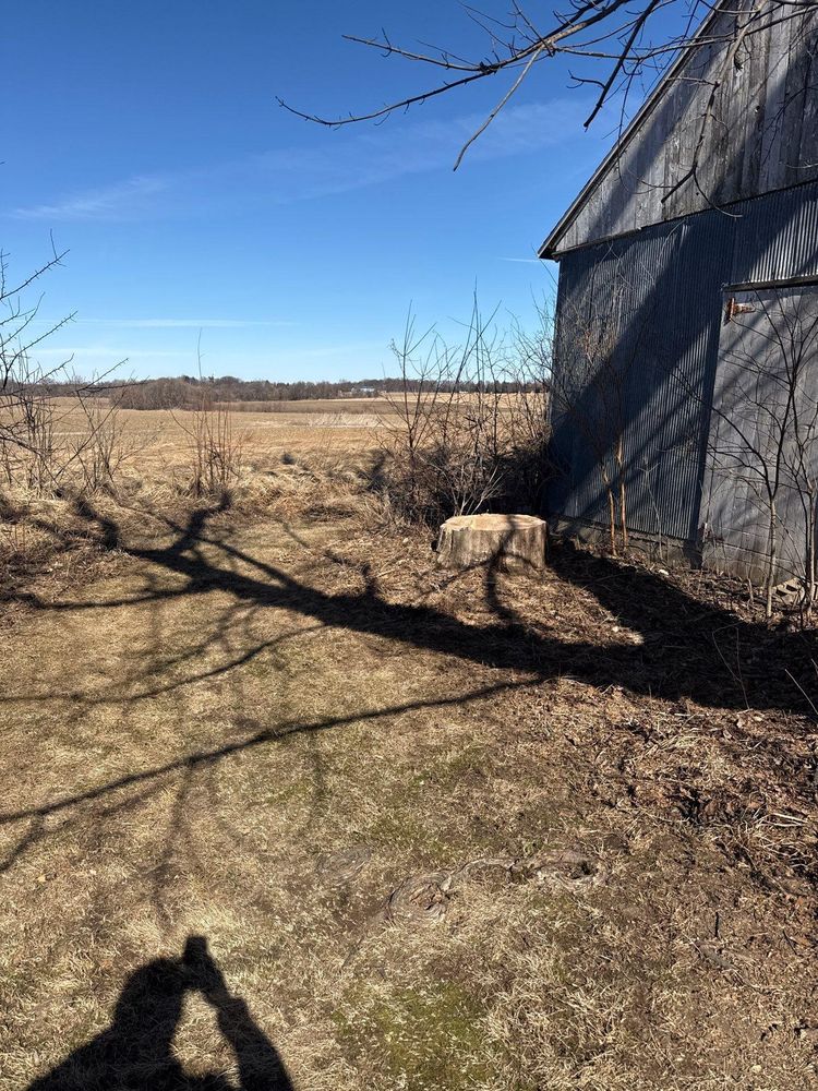 All Photos for Fransen's Tree Service  in Freeport, IL