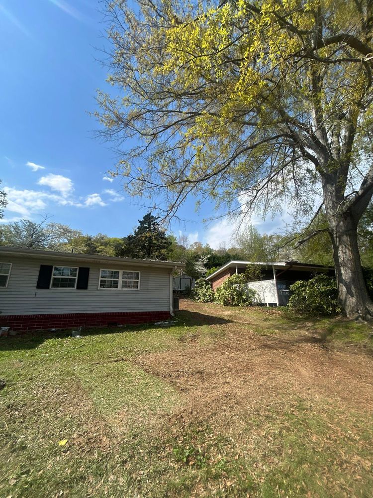 All Photos for Chipper's Tree Service  in Fort Payne, AL