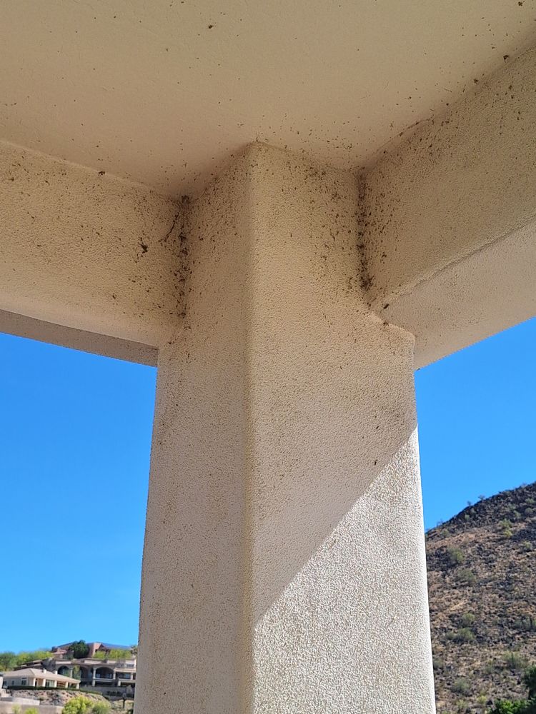 All Photos for Connected Exterior Cleaning in Mesa, AZ