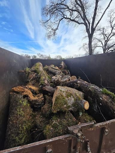 All Photos for Terra Heights Tree Experts & Landscaping  in Grass Valley,  CA