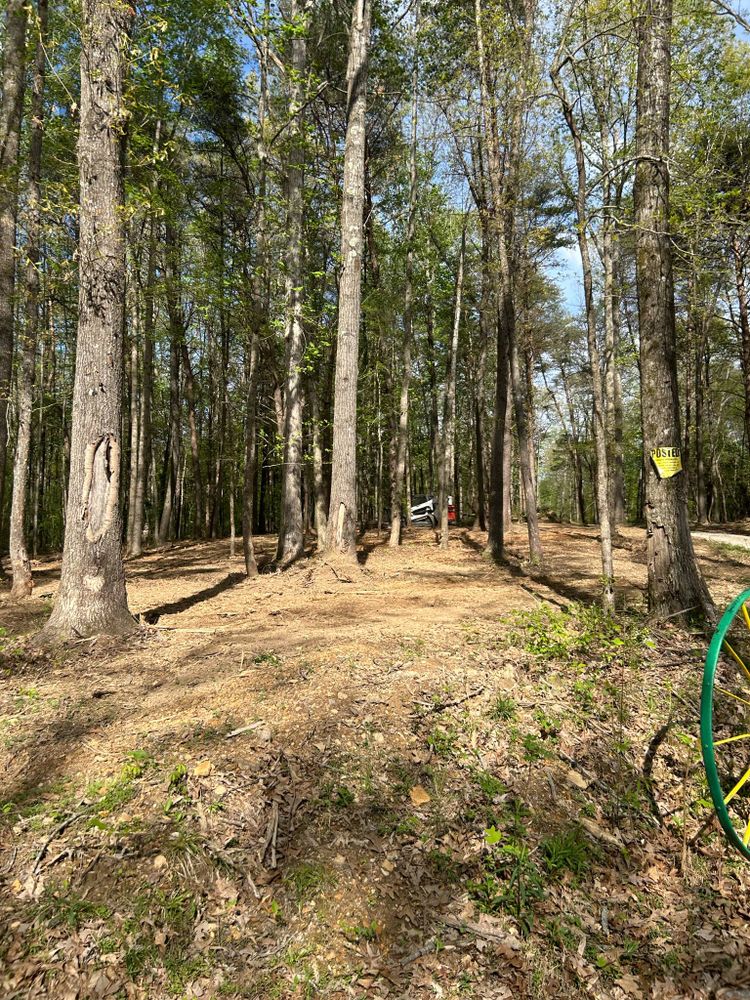 All Photos for Z's Land Management & Forestry Mulching in Smithville, TN