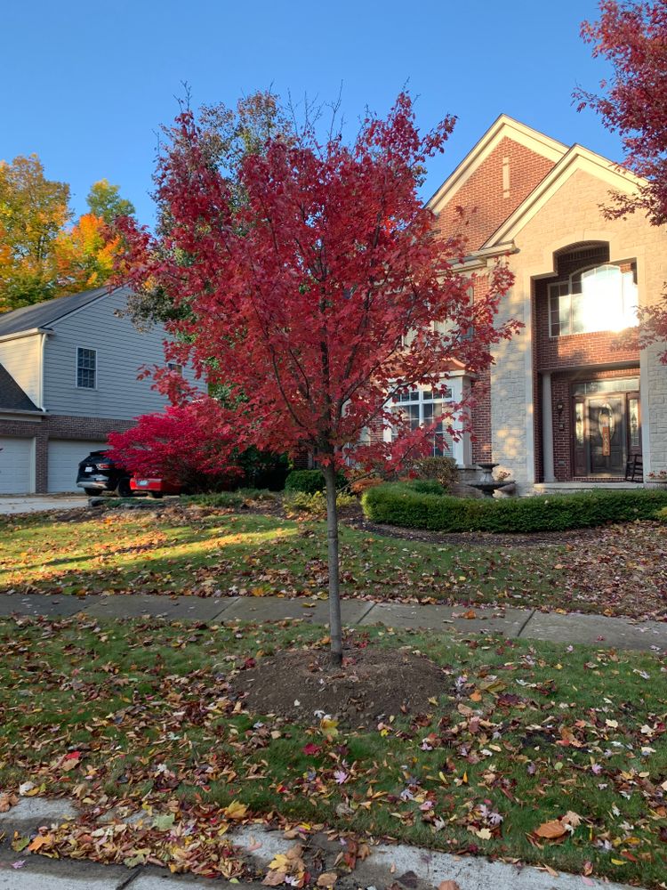 All Photos for Steed's Lawn and Landscape LLC in White Lake, MI