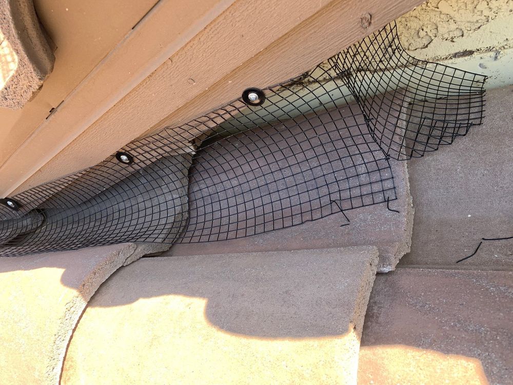 All Photos for Olson & Sons Contracting in Mesa, AZ