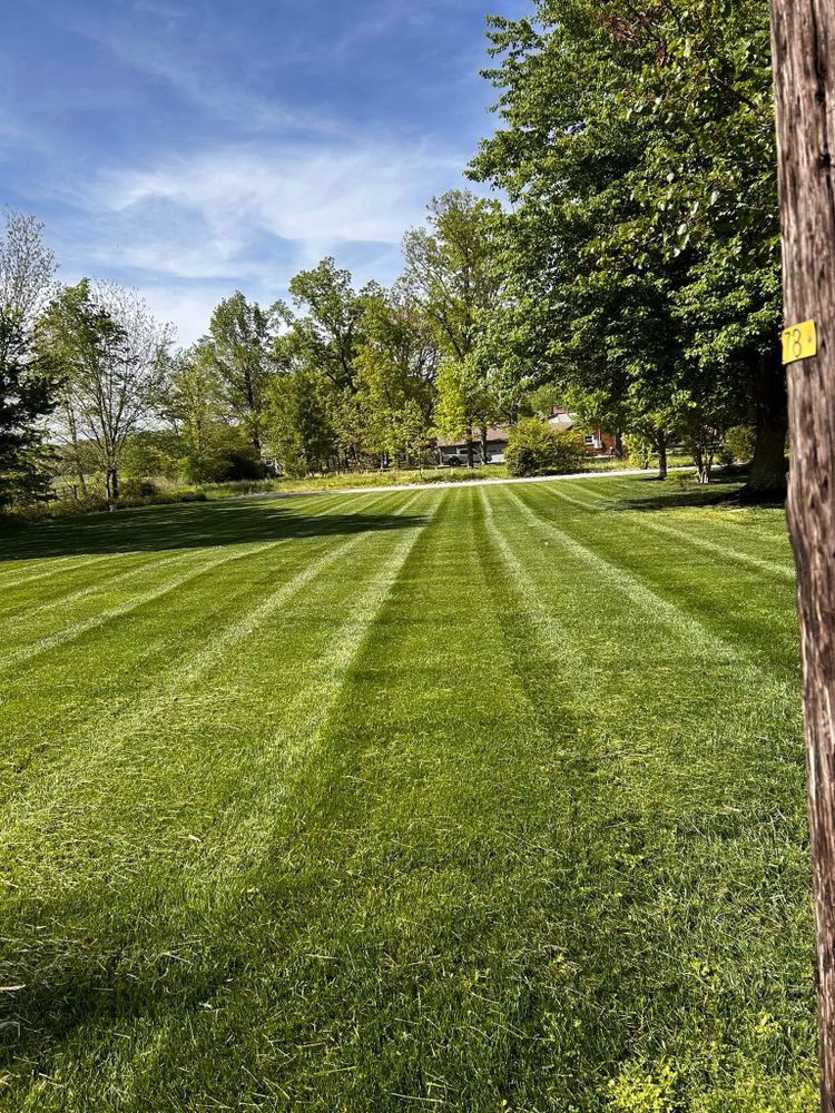 Lawn Care for Bailey’s Lawn Care & Dirt Service in Murray, KY