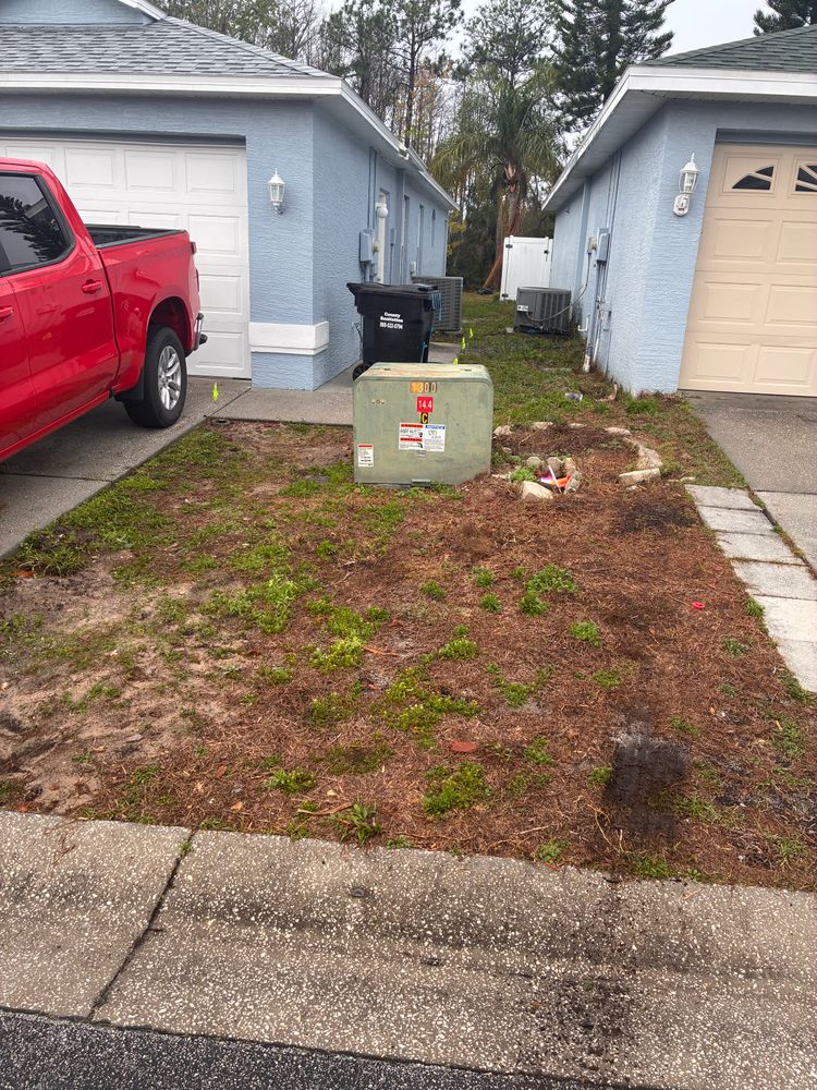 All Photos for Gulf Bay Sod in Clearwater, FL
