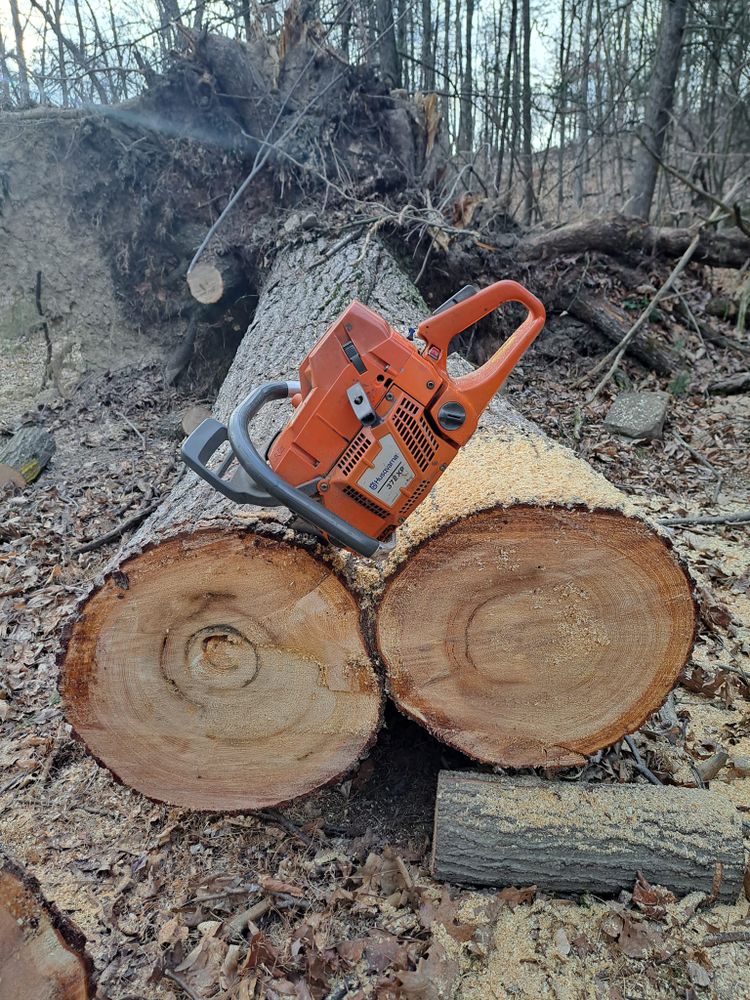 Tree Removal for Beckenbaugh Tree & Lawn Service in Lewistown, PA