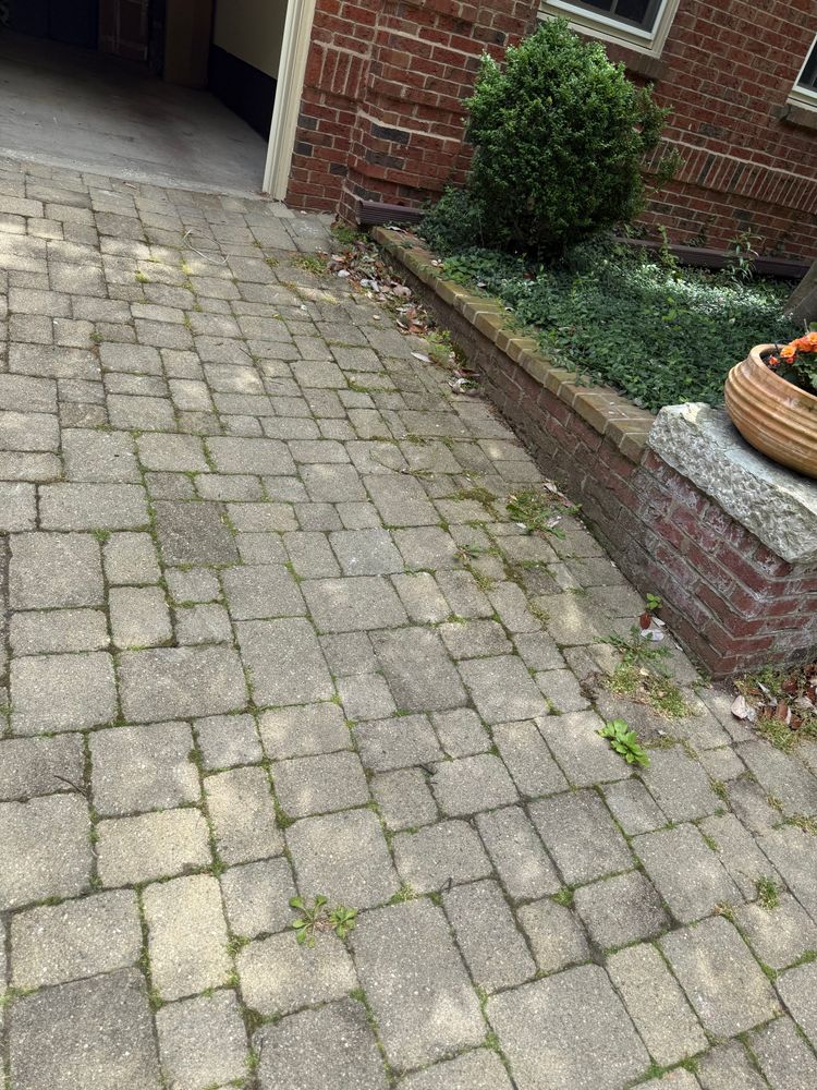 Driveway & Sidewalk Cleaning for Central KY Pressure Washing in Winchester, KY