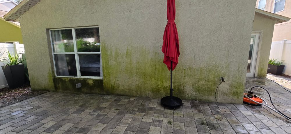 All Photos for Blue Stream Roof Cleaning & Pressure Washing in Tampa, FL
