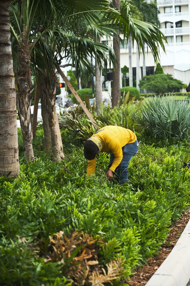 Maintenance for Arazoza Brothers Corporation in Miami, FL
