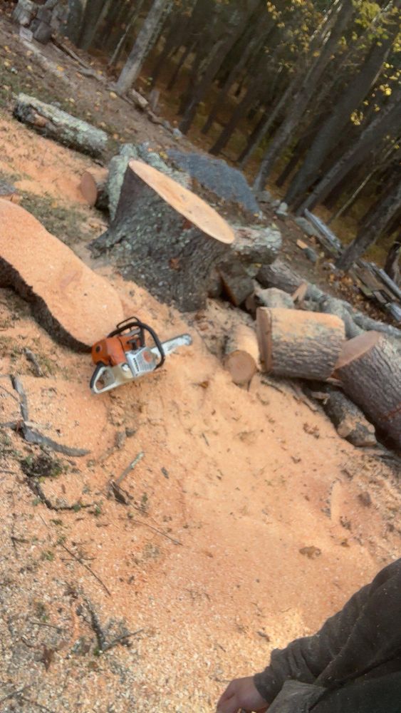 All Photos for Dwights Tree Service in Middleborough, MA