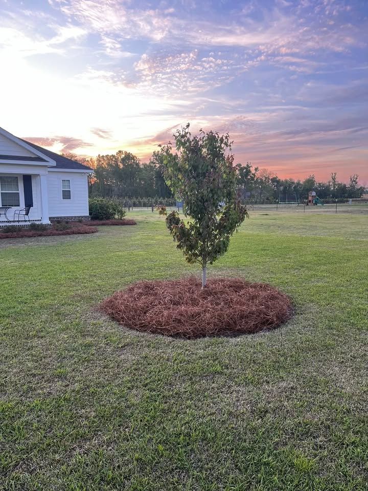 All Photos for Scalco’s Land Services in Statesboro, GA