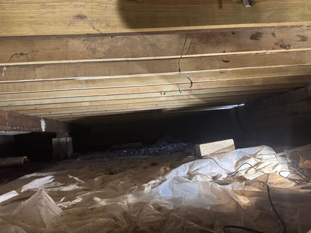 All Photos for The Guys Landscaping & Foundation Repairs LLC in Trenton, MI