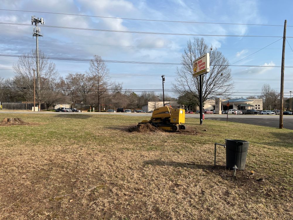 All Photos for JC Land and Tree Service in Kilgore, TX