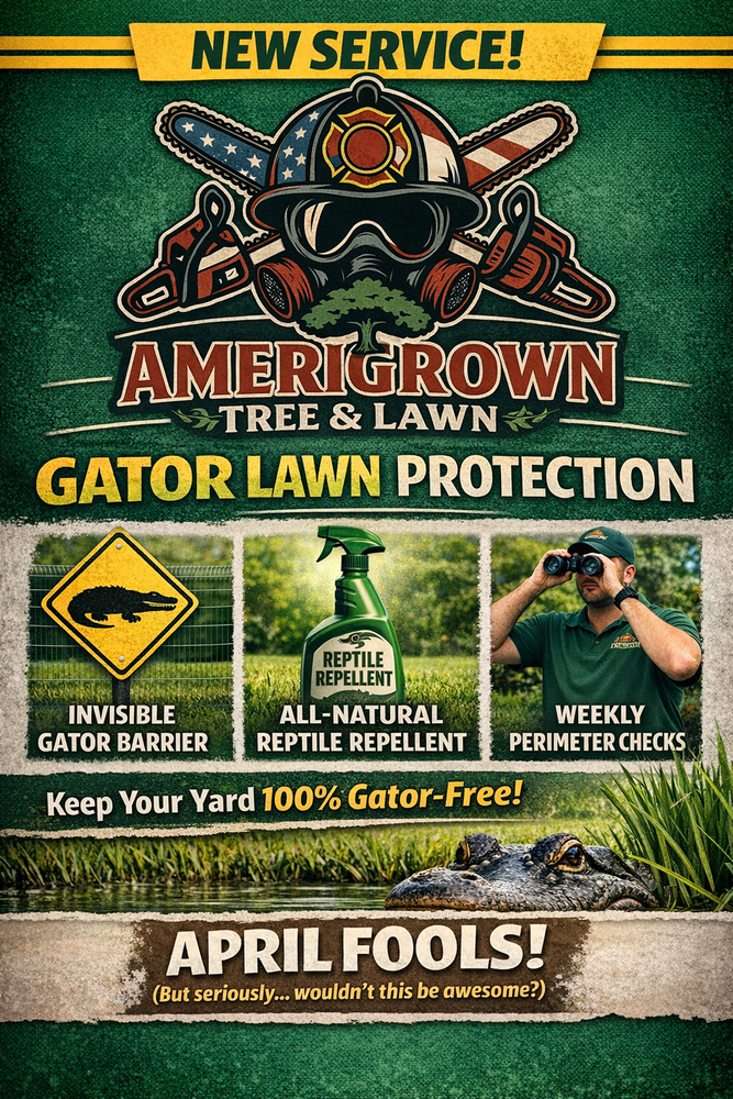 All Photos for Amerigrown Tree And Lawn in Apopka, FL