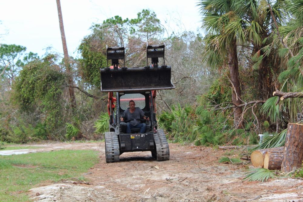 Tree Removal for American Tree Masters in Alvin, TX