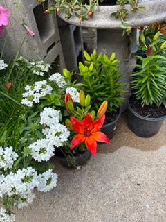 All Photos for Mayfield Landscaping in Staunton, IL