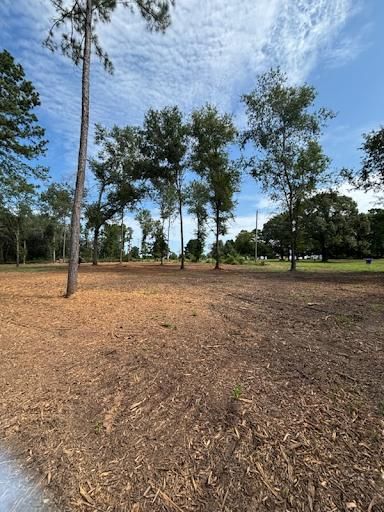 All Photos for JM Services in Woodville, TX