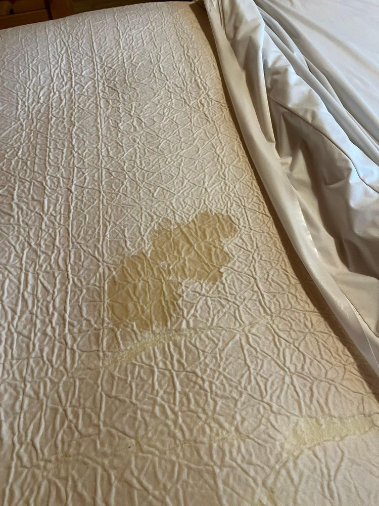 All Photos for A+ Cleaning and Services LLC in Deep Creek Lake, MD 