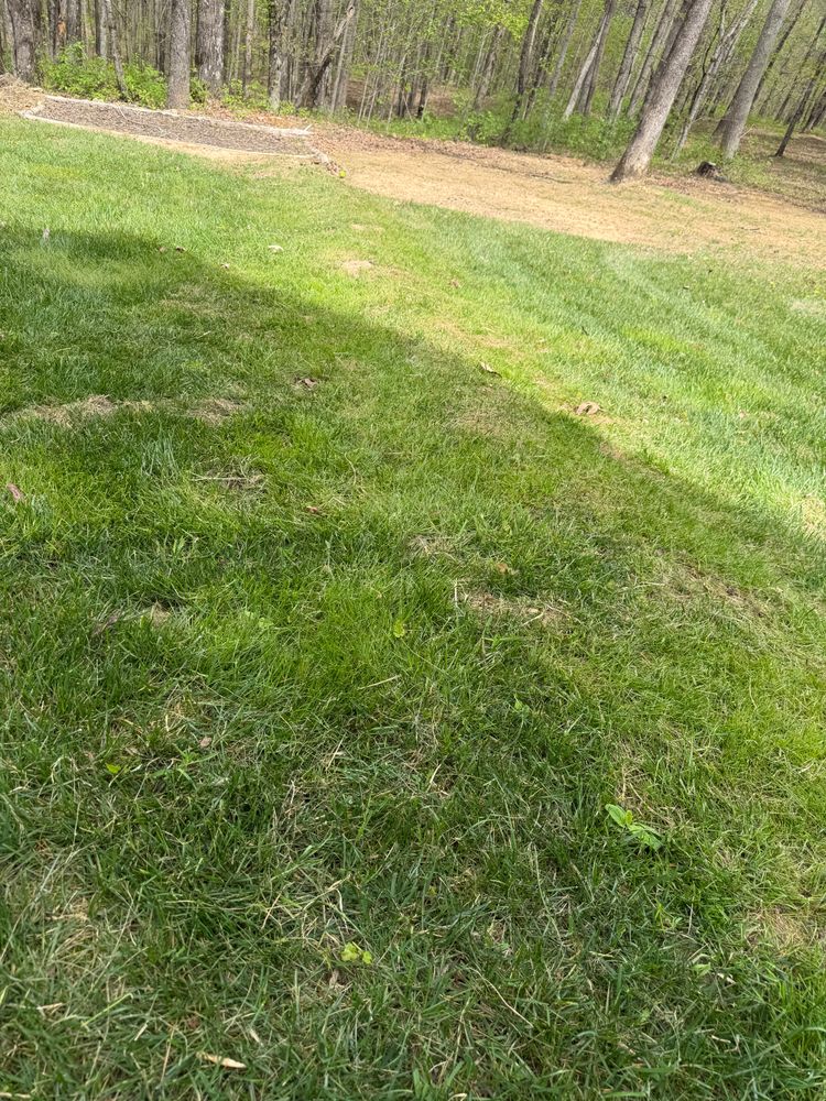 Landscaping for Starnes Hardscapes & Property Management LLC in Dunlap, TN