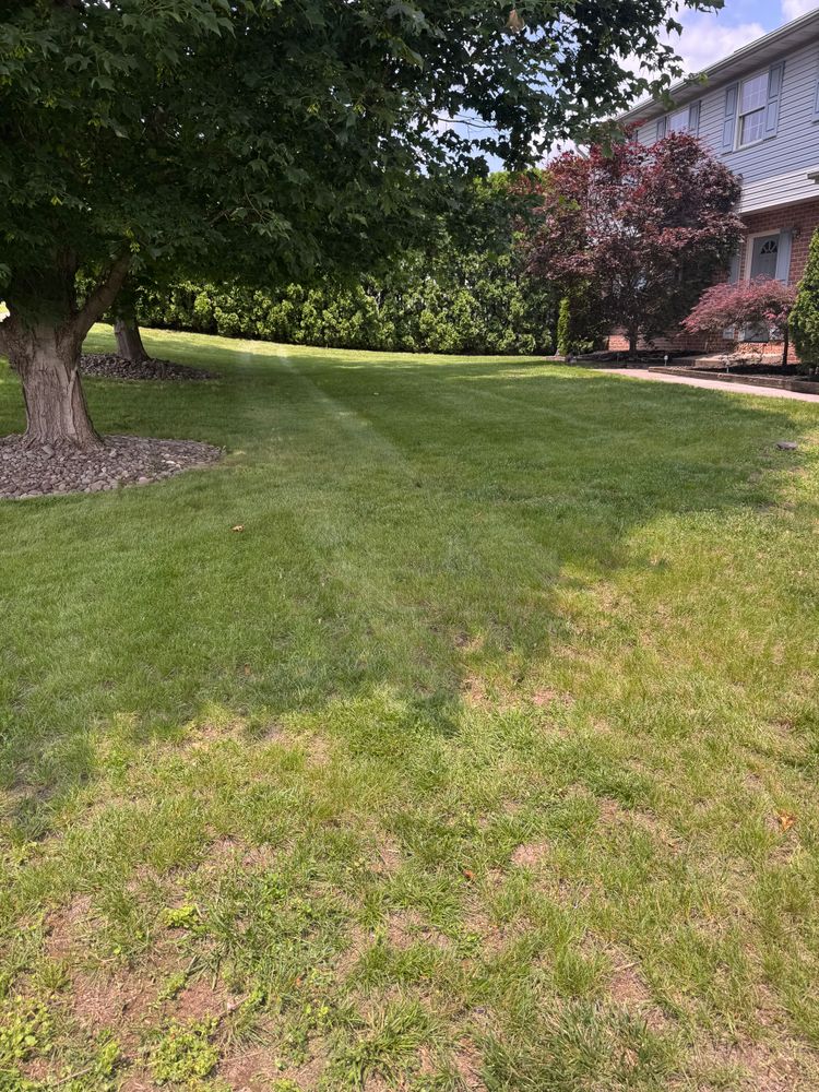 All Photos for Landscape & Lawn Care Pros in Temple, PA