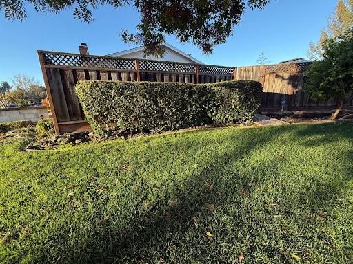 All Photos for CBA Landscaping in Hayward, CA