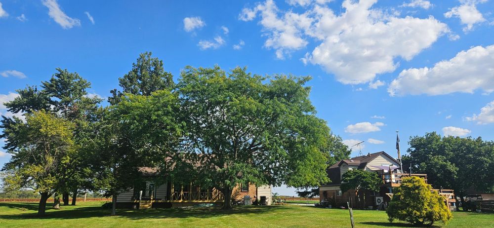 All Photos for Highborn Tree Service in Wheatfield, IN