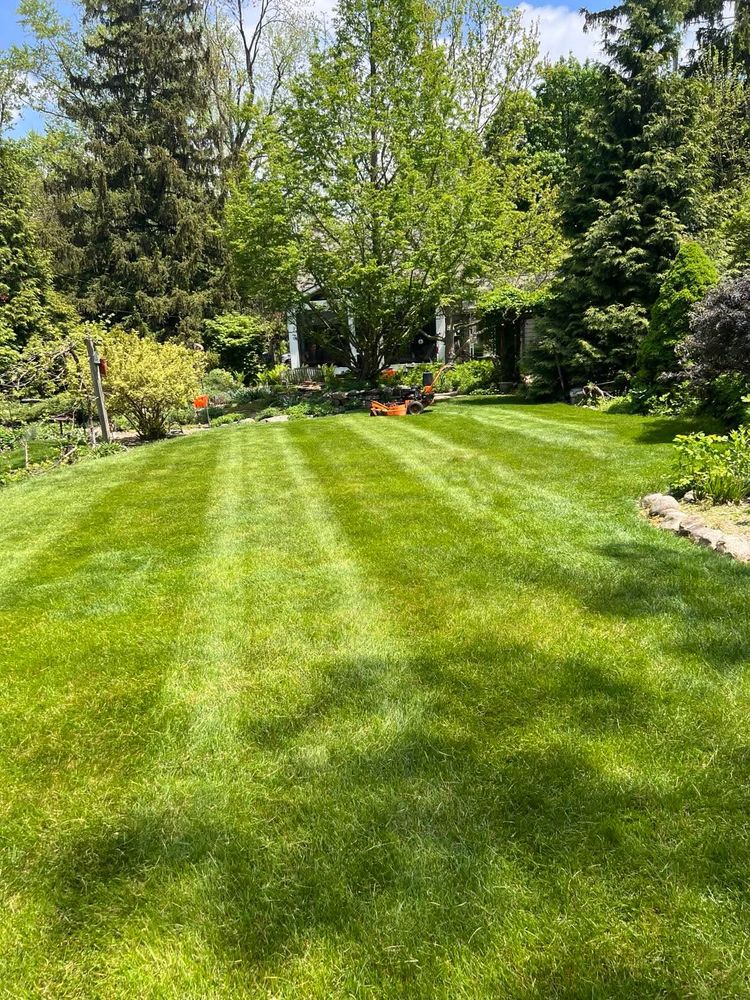 All Photos for Steed's Lawn and Landscape LLC in White Lake, MI