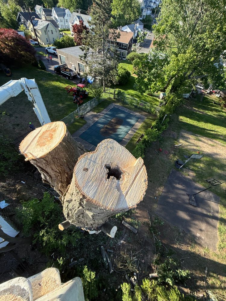 All Photos for Hennessey Tree & Landscape LLC in Oxford,  CT 