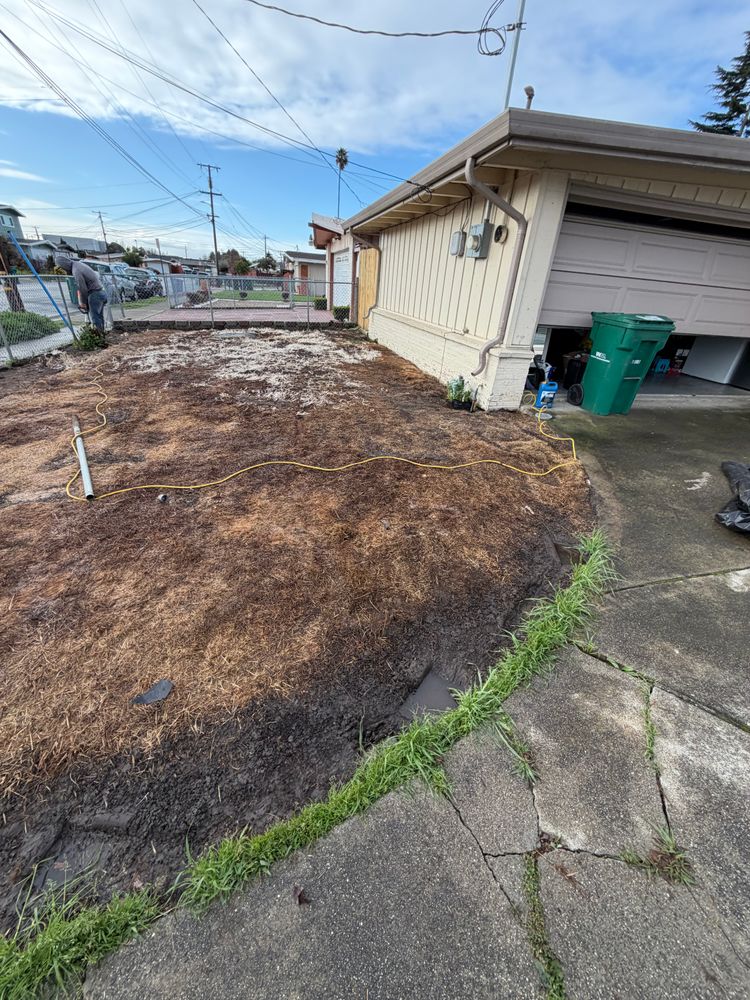 All Photos for CBA Landscaping in Hayward, CA