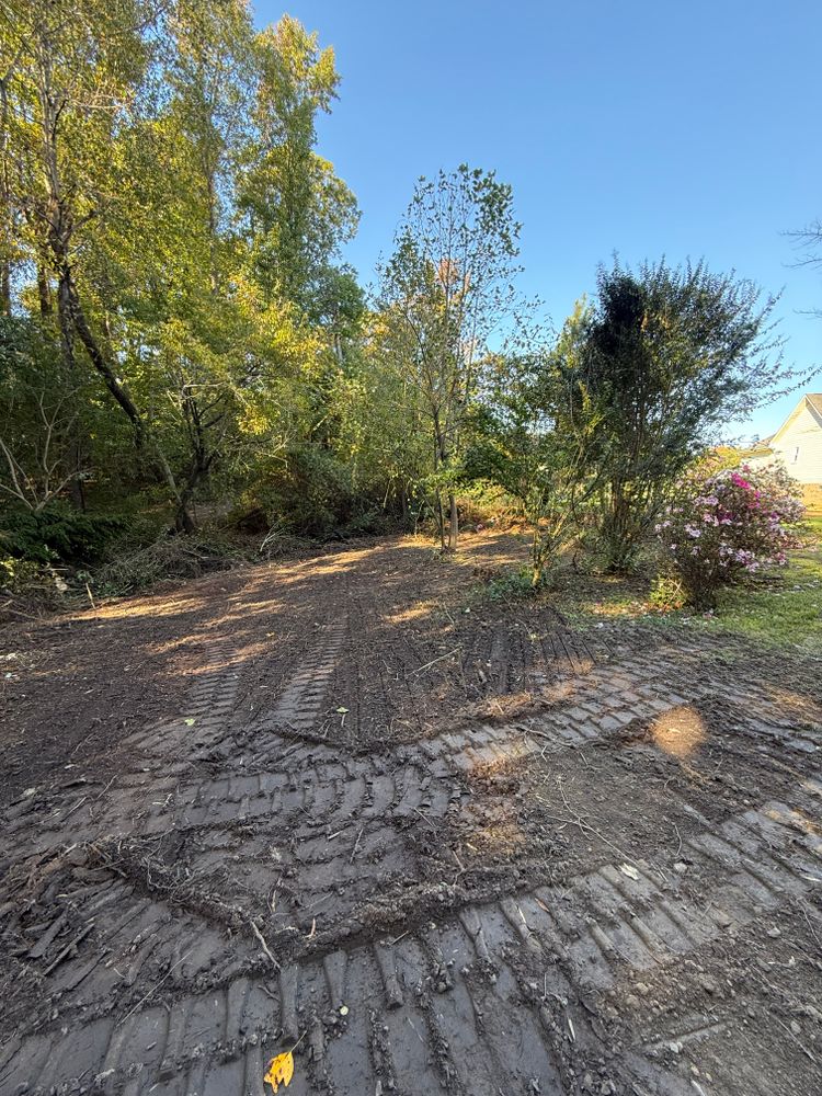 Land Clearing/ Grading Projects  for Early Byrd Landscaping & Lawn Care  in Angier, NC