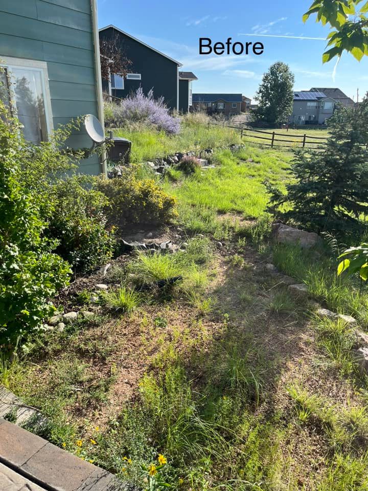 Fall and Spring Clean Up for Top of The Edge Landscape in Peyton,  CO