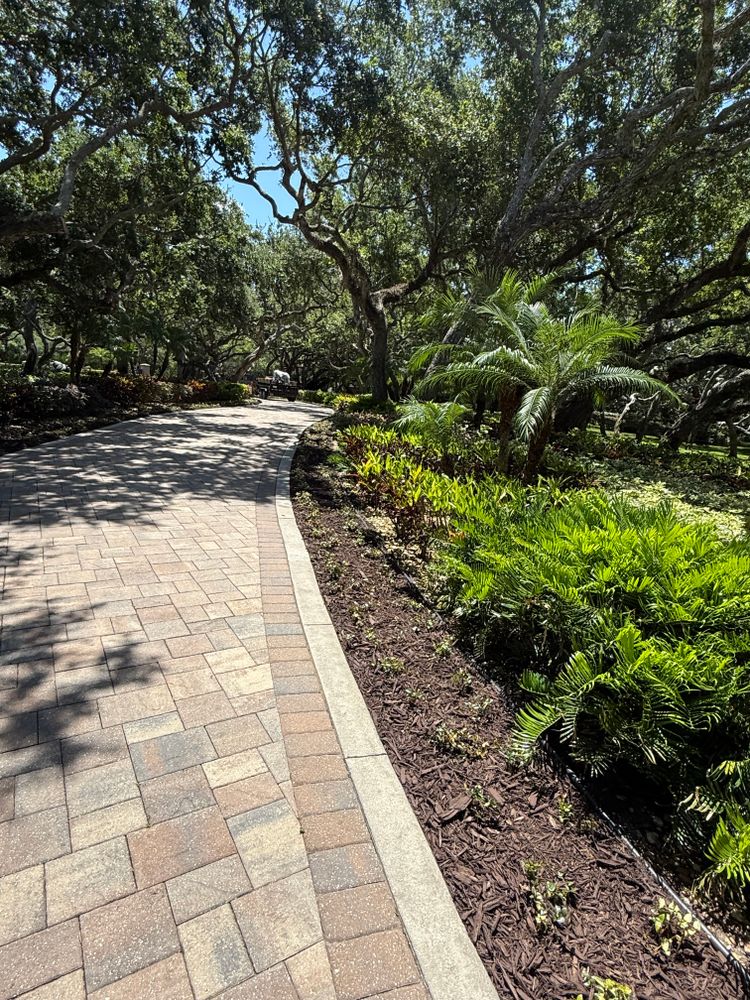 All Photos for Vanic's Landscaping in South Daytona, FL