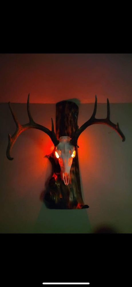 All Photos for BW Outdoor Solutions in Newton, NJ