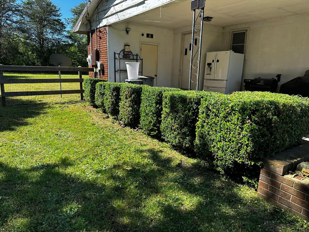 All Photos for Cisco Kid Landscaping Inc. in Lincolnton, NC